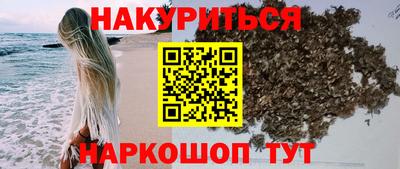 шишки Балашиха