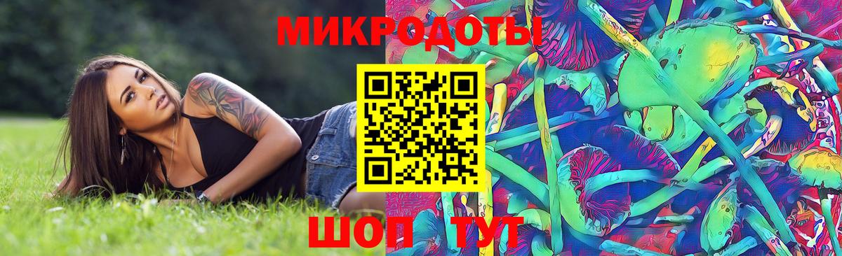 Галлюциногенные грибы Psilocybine cubensis  Вход с VPN  Домодедово 