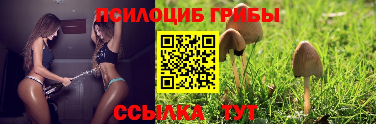 Галлюциногенные грибы ЛСД Домодедово